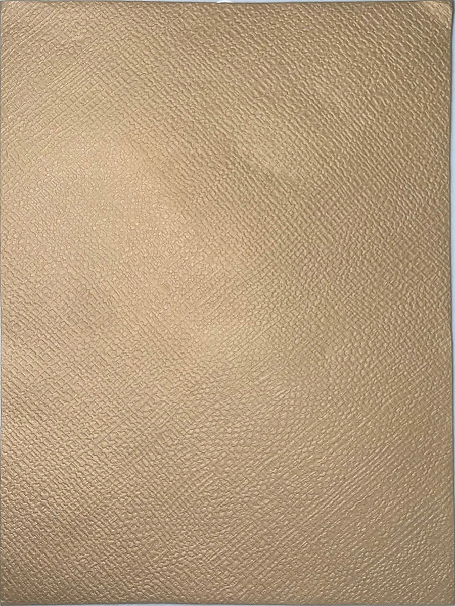 Natural Kraft envelope sample